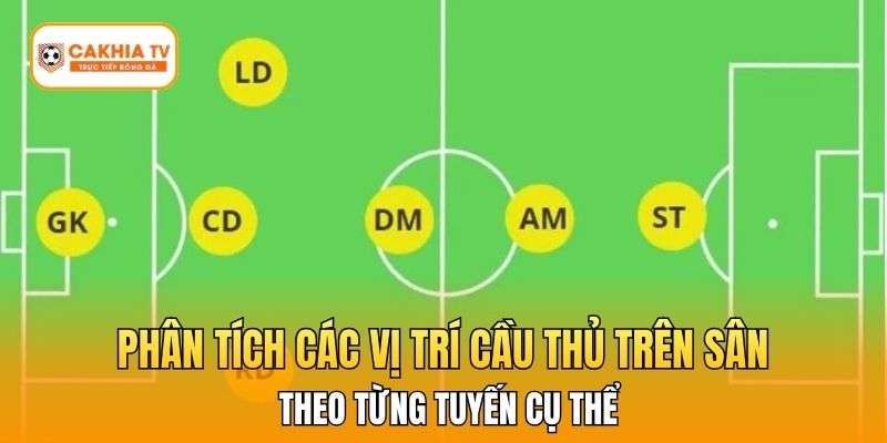 Phân tích các vị trí cầu thủ trên sân theo từng tuyến cụ thể